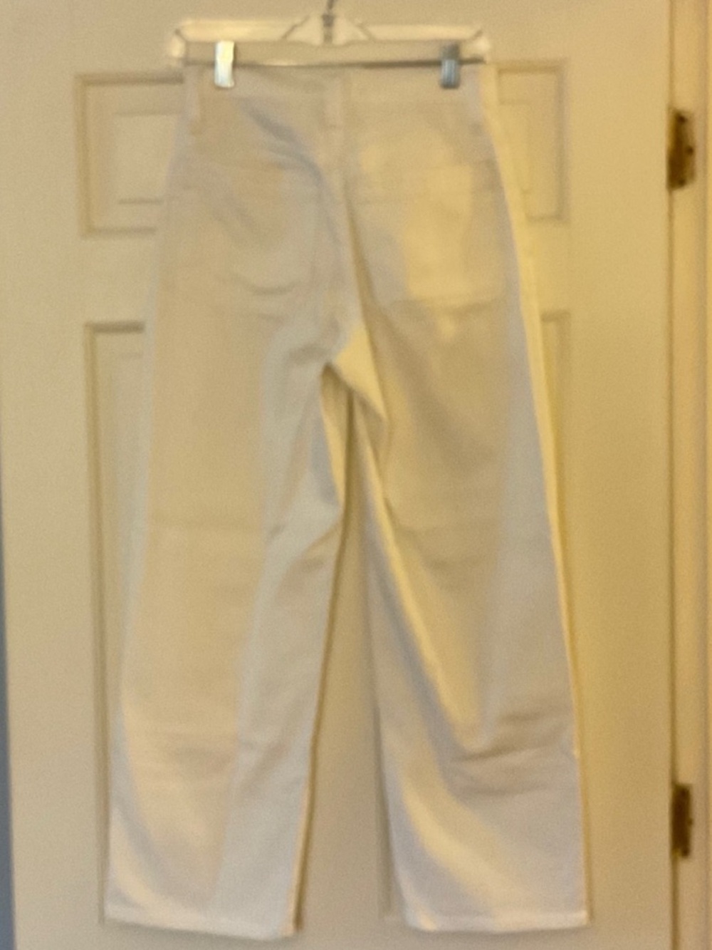 Madewell The Darted Barrel-Leg Jean Vintage Canvas Ecru Rigid Denim Size 26 NWT - Picture 4 of 5